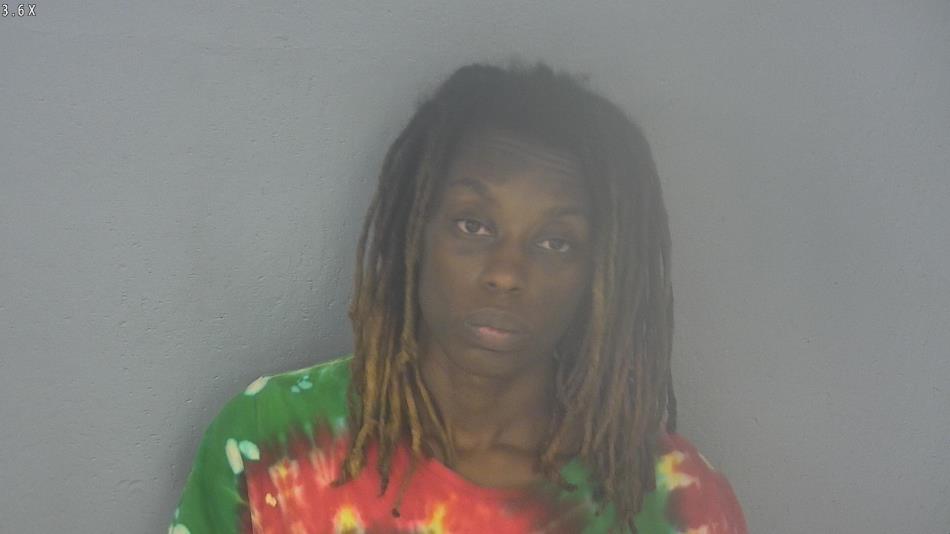 Arrest photo of ASHLEY CHAPPELL