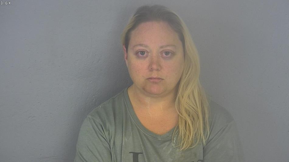 Arrest photo of ASHLEY LYNCH