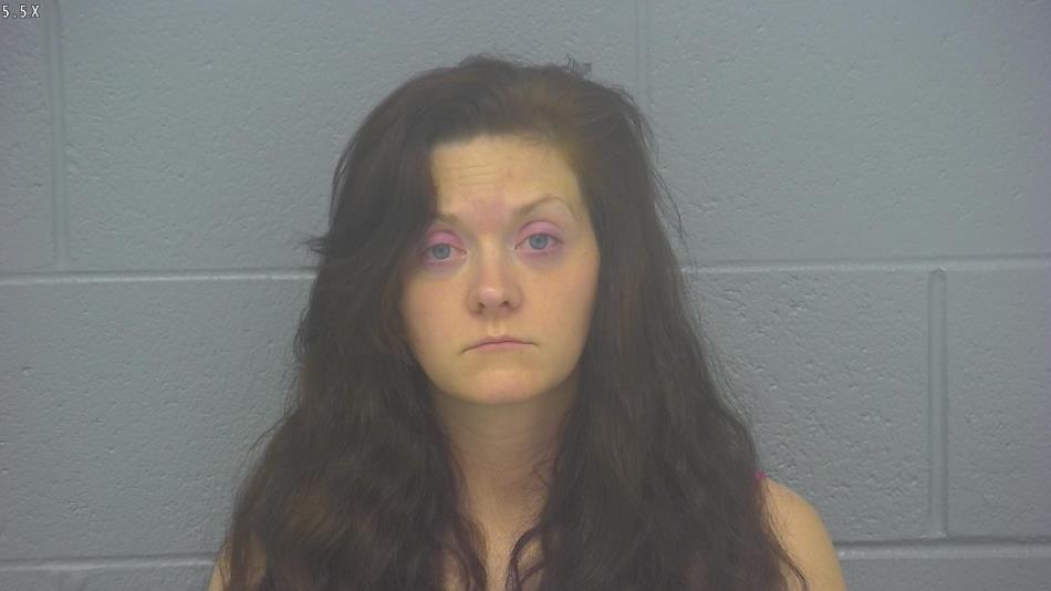 Arrest photo of ASHLEY ZELLEFROW