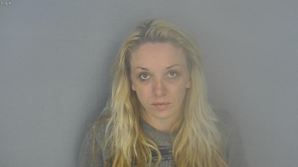 Arrest photo of ASHLEY HODGES