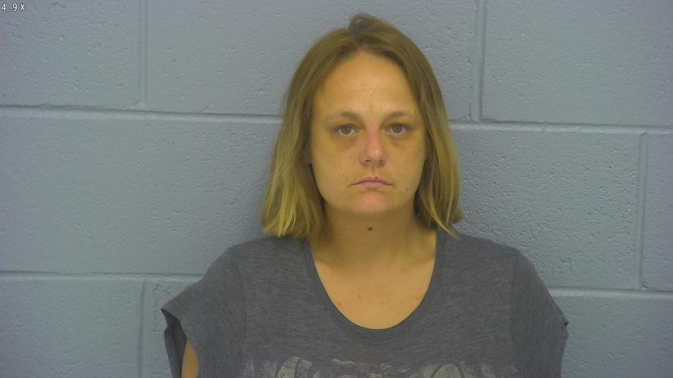 Arrest photo of ASHLEY ABBOTT