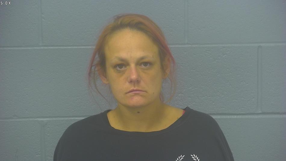 Arrest Photo of ASHLEY ABBOTT, arrested on 11/22/2024