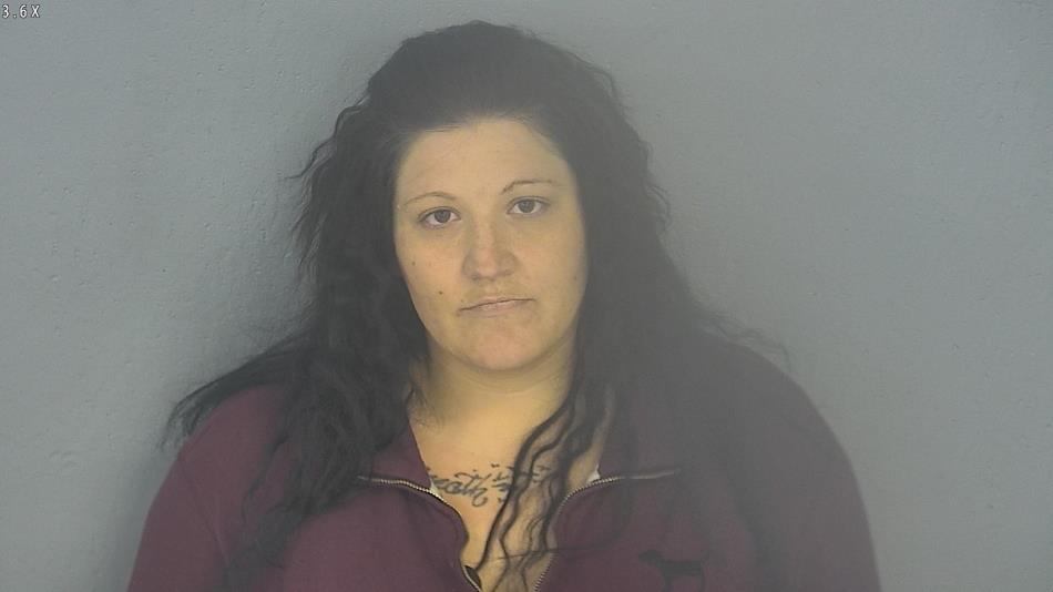 Arrest photo of ASHLEY TANK