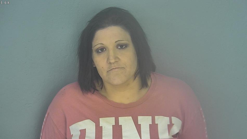 Arrest photo of ASHLEY TANK