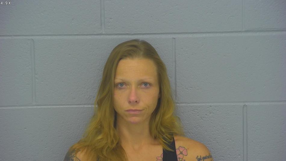 Arrest photo of ASHLEY HANSON