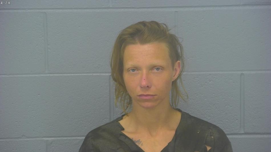 Arrest photo of ASHLEY HANSON