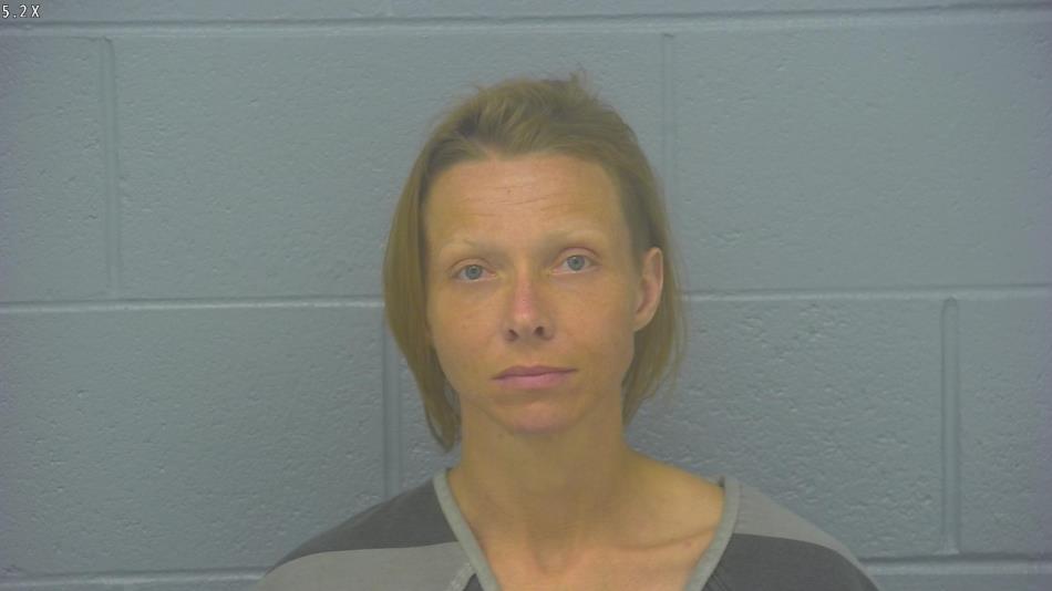 Arrest photo of ASHLEY HANSON