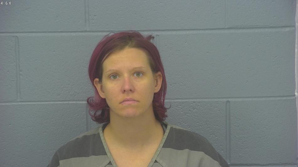 Arrest photo of ASHLEY DILLINGHAM