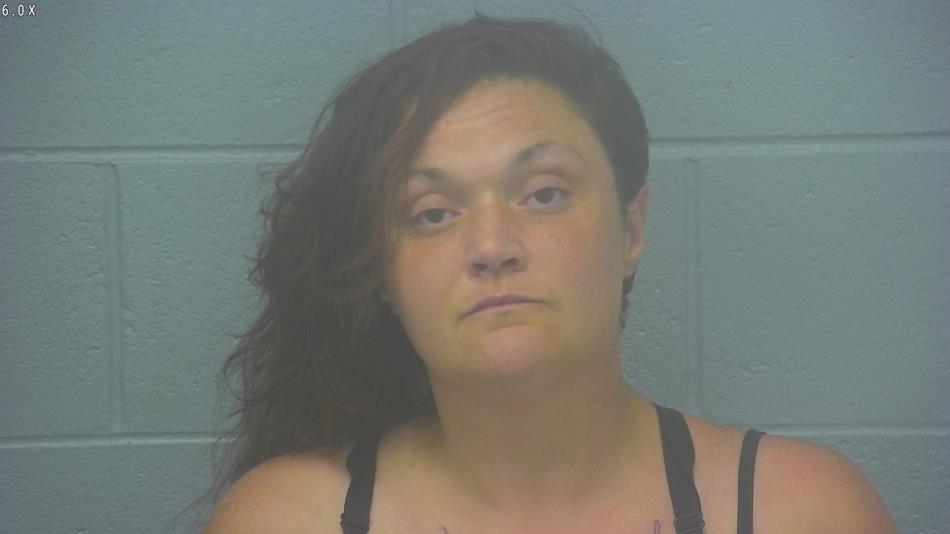 Arrest photo of ASHLEY MELTON SHULER