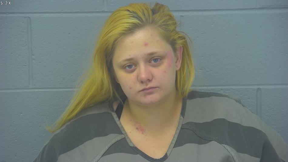 Arrest photo of ASHLEY SCHLUNDT