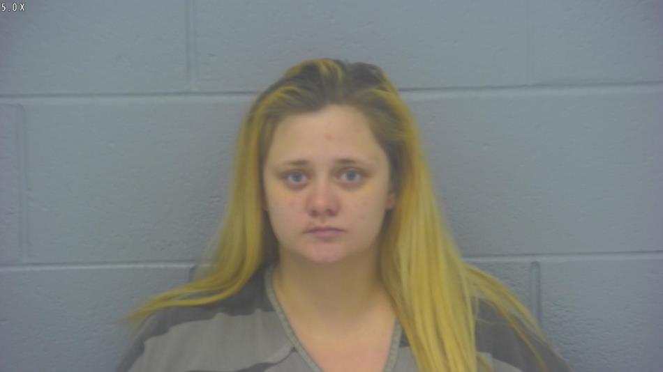 Arrest photo of ASHLEY SCHLUNDT