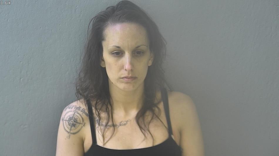 Arrest photo of ASHLEY OHRAZDA