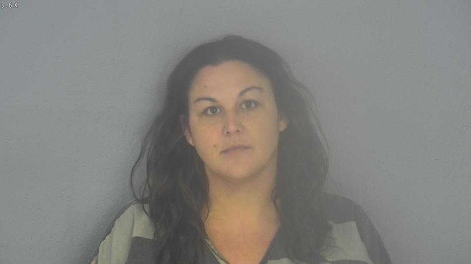 Arrest photo of ASHLEY LUND