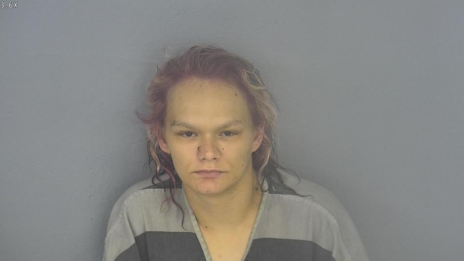Arrest photo of ASHLEY BATSON