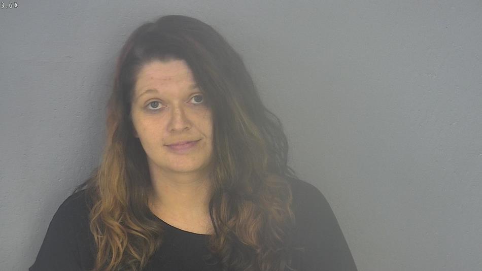 Arrest photo of ASHLEY BRANNON