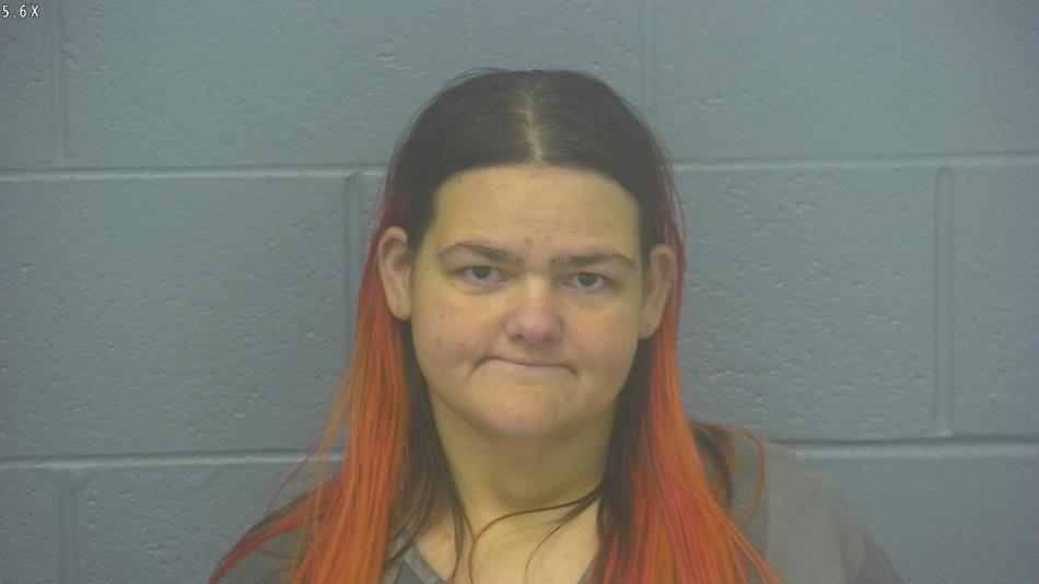 Arrest photo of ASHLEY KNIGHT