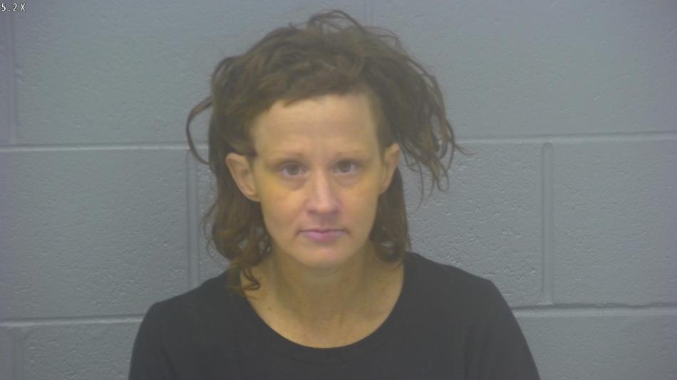 Arrest photo of ASHLEY COOK