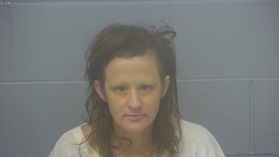 Arrest Photo of ASHLEY COOK, arrested on 1/30/2025