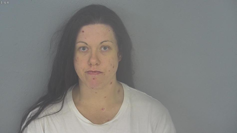 Arrest photo of ASHLEY HOWARD