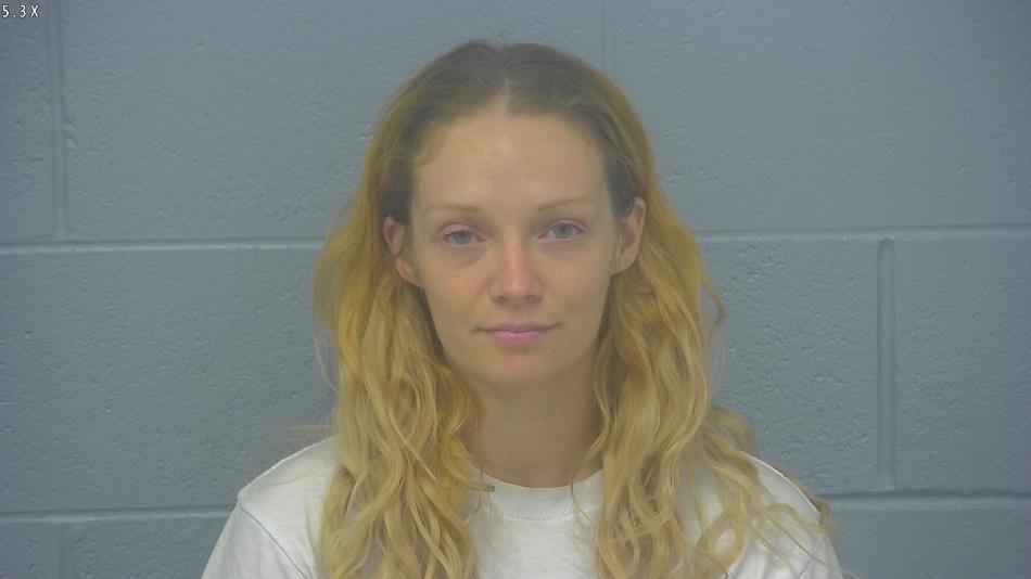 Arrest photo of ASHLEY HOMMINGA