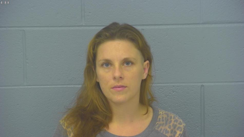 Arrest photo of ASHLEY FIDLER