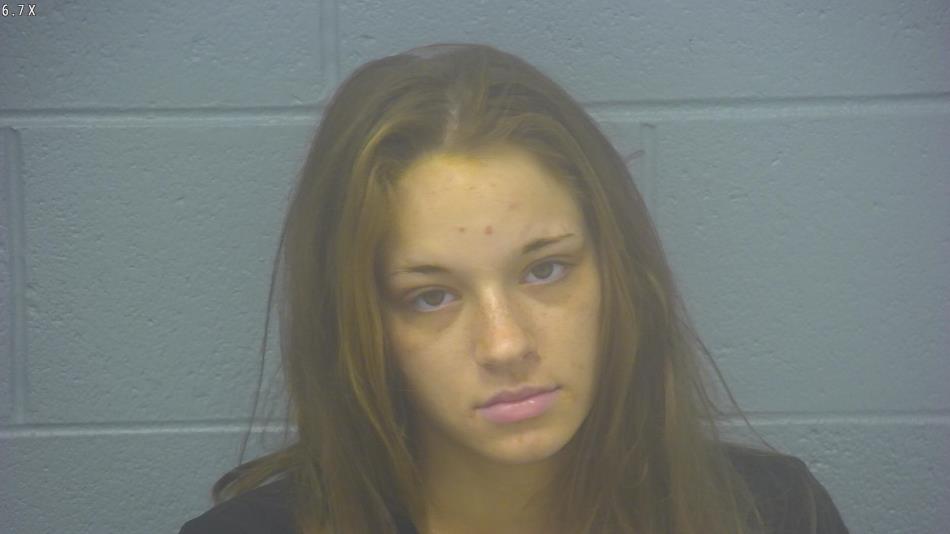 Arrest photo of ASHLYNN WILLIS