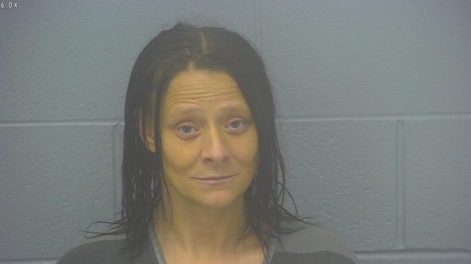 Arrest photo of AUDREY HILL