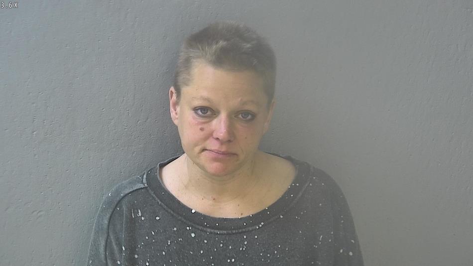 Arrest photo of AUDREY JOHNSON