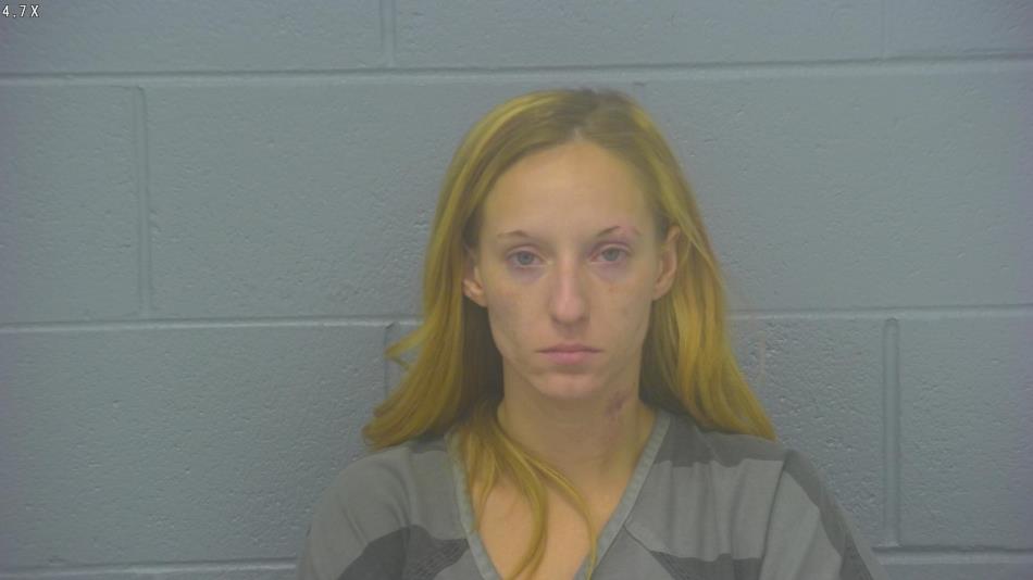 Arrest photo of AUDREY SCHARTZ