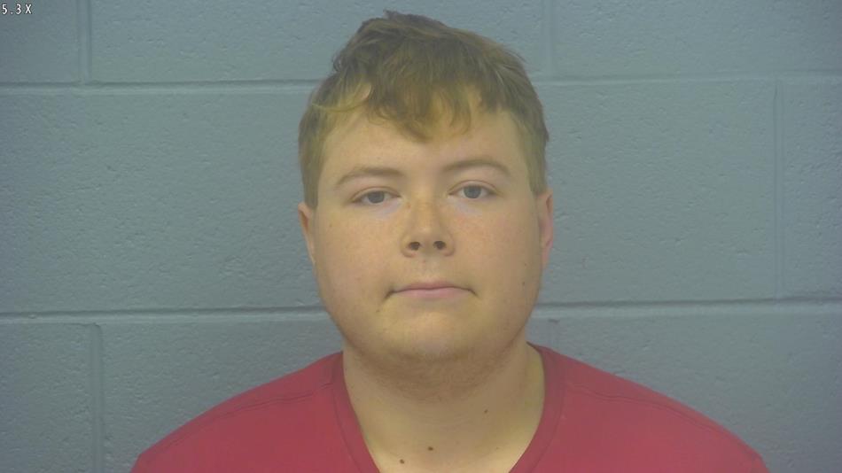 Arrest photo of AUSTIN MCGEHEE