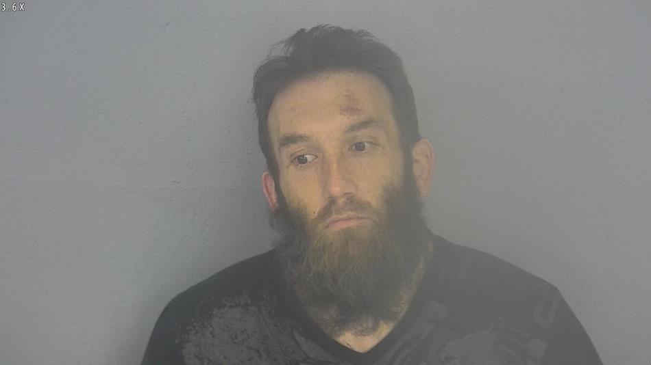 Arrest photo of AUSTIN WILLIAMS