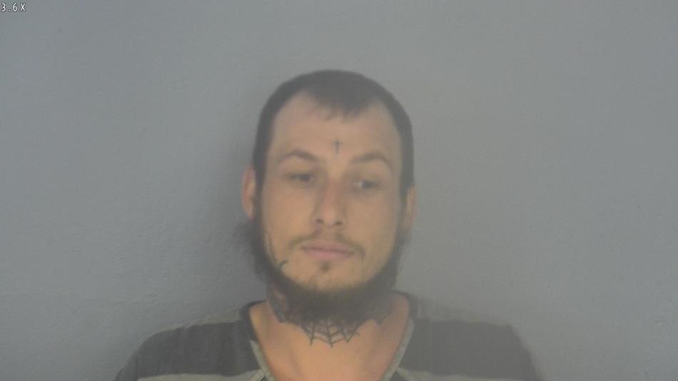 Arrest photo of AUSTIN NELSON