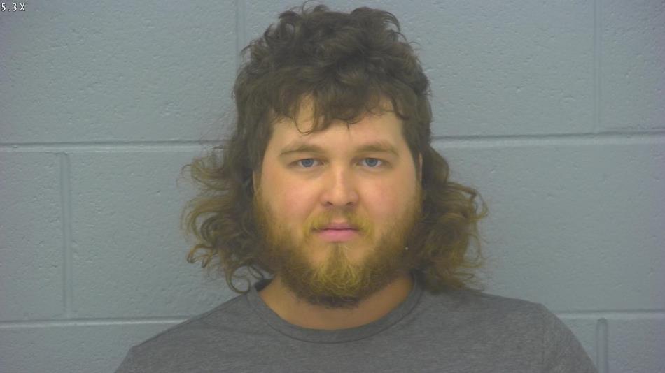 Arrest photo of AUSTIN CASWELL