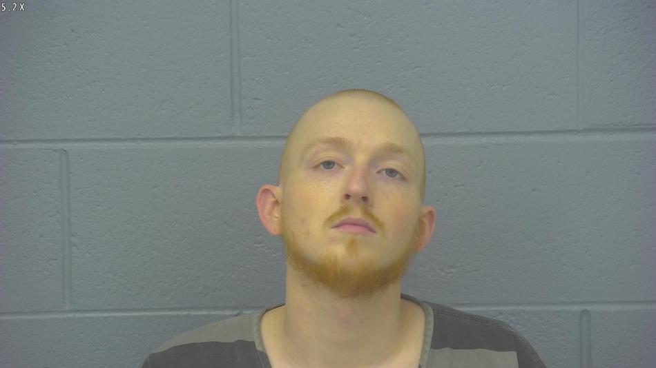 Arrest photo of AUSTIN DODSON