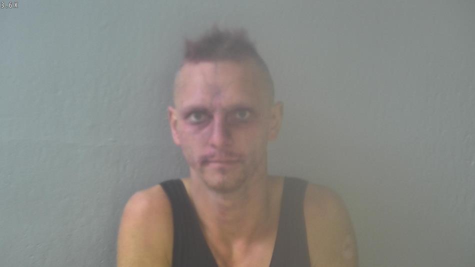 Arrest photo of AUSTIN CHAPMAN