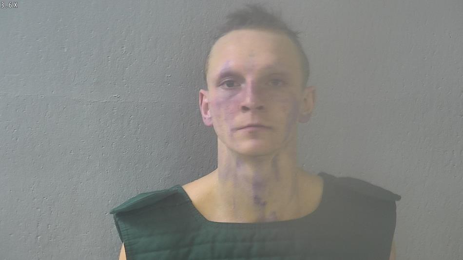 Arrest photo of AUSTIN CHAPMAN