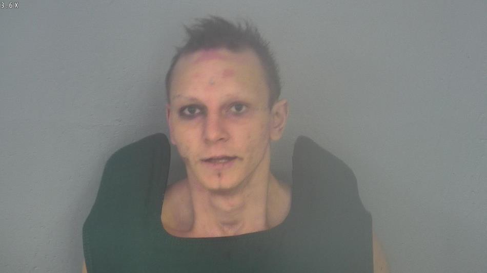 Arrest photo of AUSTIN CHAPMAN