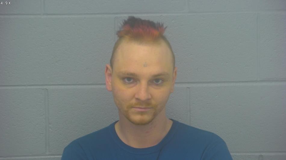 Arrest photo of AUSTIN CHAPMAN