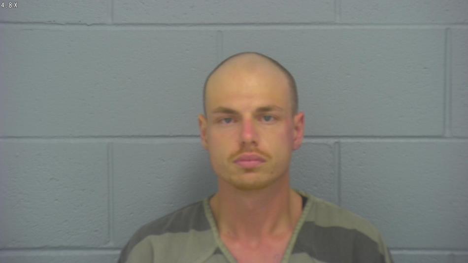 Arrest photo of AUSTIN HAMILTON