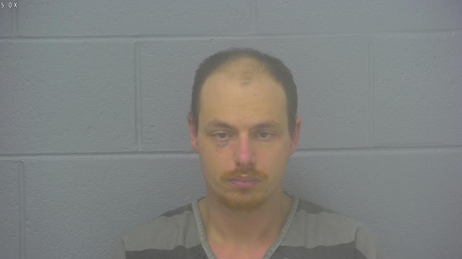 Arrest photo of AUSTIN HAMILTON