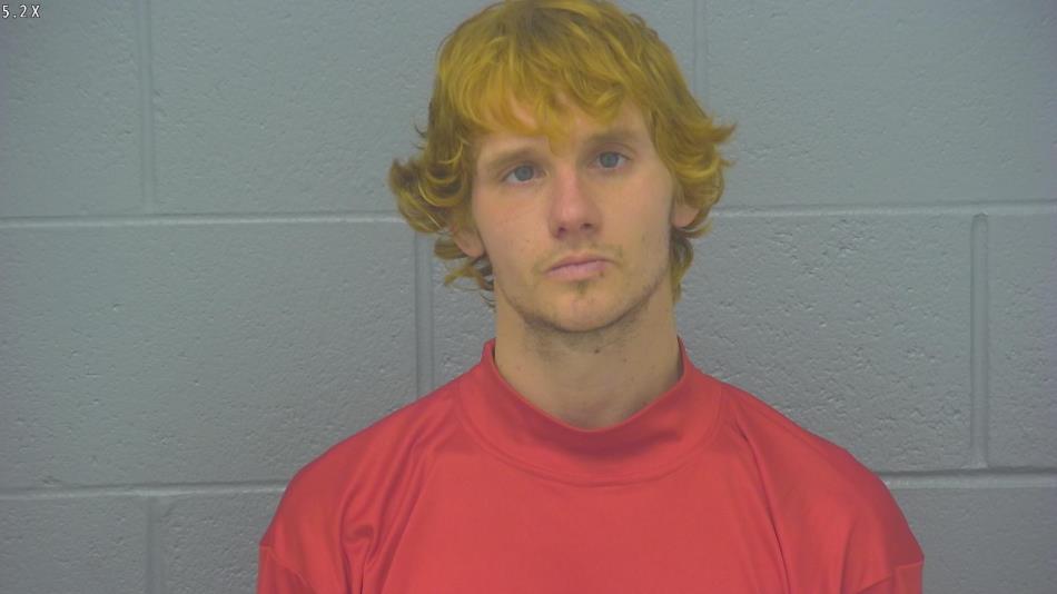 Arrest photo of AUSTIN COLE