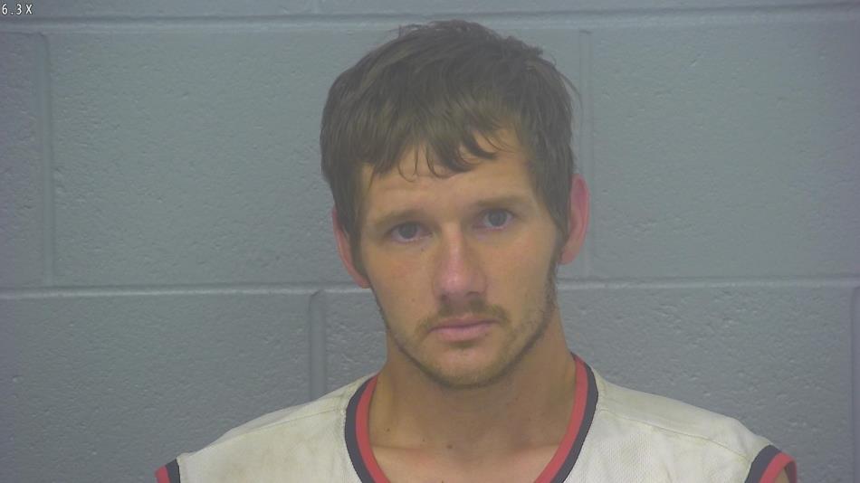 Arrest photo of AUSTIN COLE