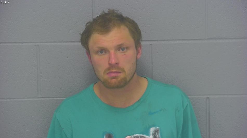 Arrest photo of AUSTIN CORNELISON