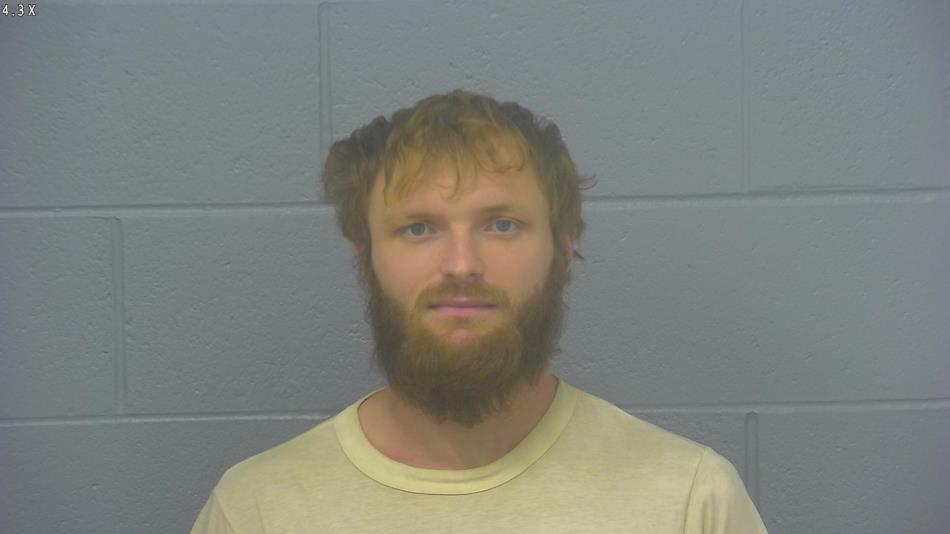 Arrest photo of AUSTIN CORNELISON