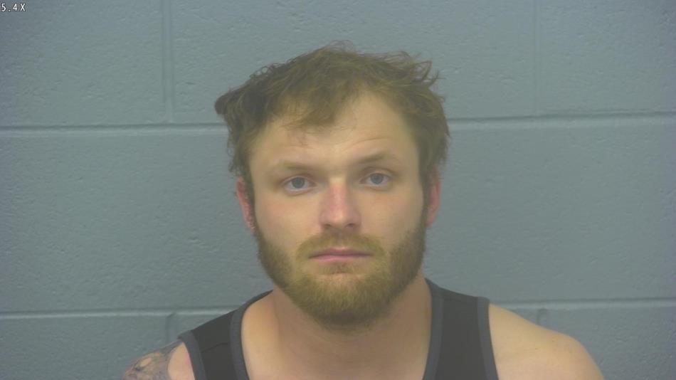 Arrest photo of AUSTIN CORNELISON