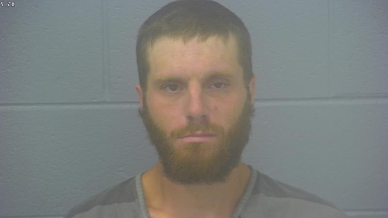 Arrest photo of AUSTIN WAGGONER
