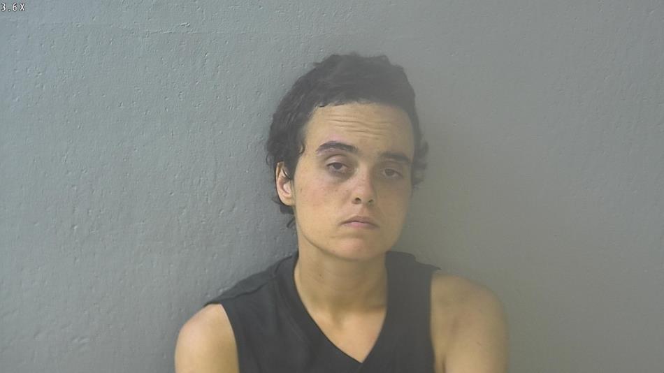 Arrest photo of AVERY ROSENTHAL