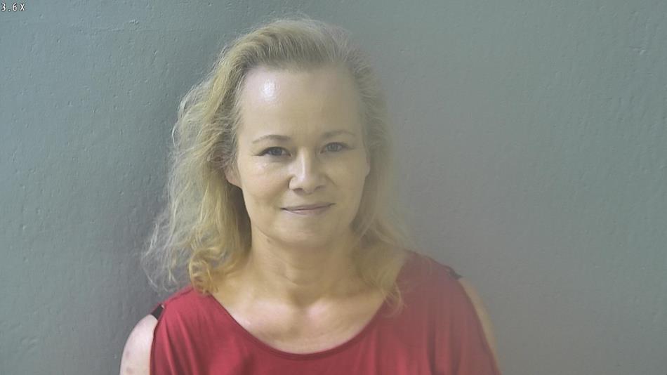 Arrest photo of AVIS HOUSTON