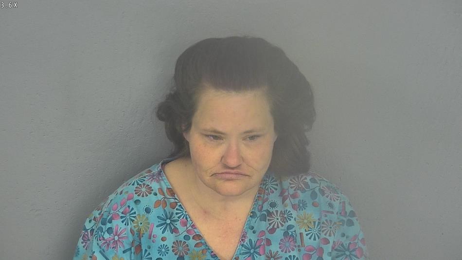 Arrest photo of BARBARA SOUTHARD