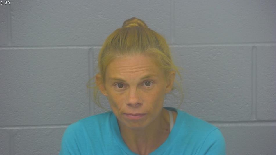 Arrest photo of BECKY HEWES